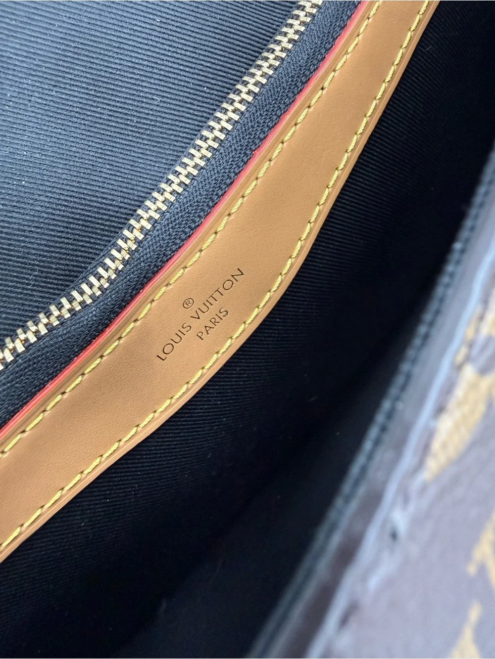 Louis Vuitton Diane Monogram Bag w/Shoulder and Crossbody Straps, Pristine